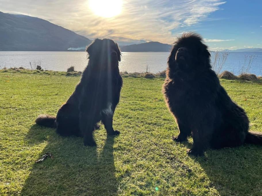 Dalrigh Pod Villa Onich Dış mekan fotoğraf